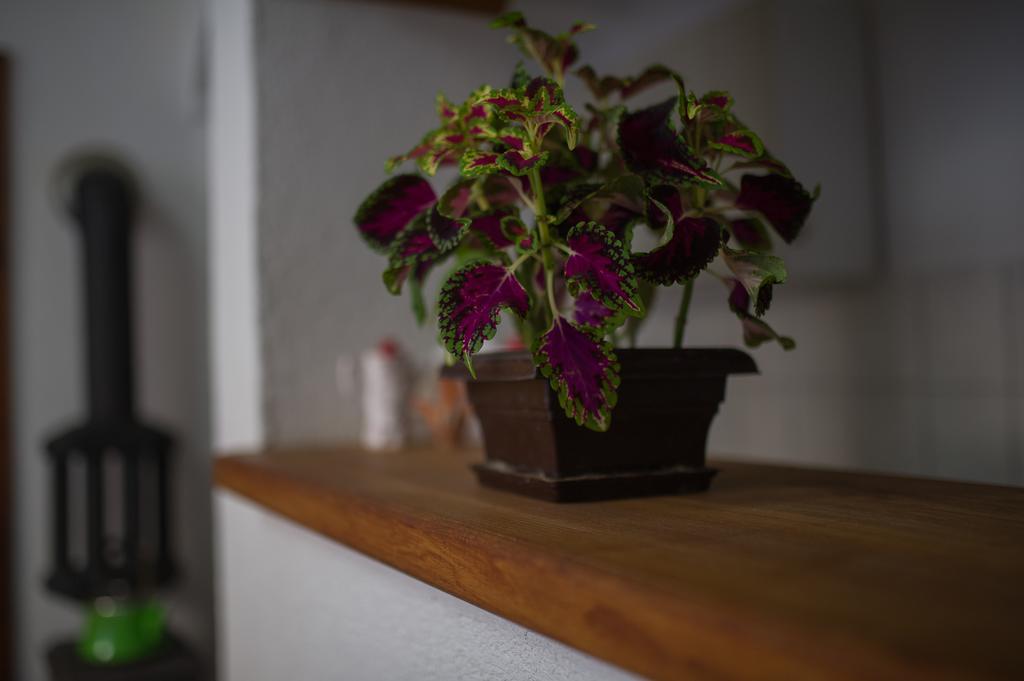 Apartment Raza Konjic Zewnętrze zdjęcie